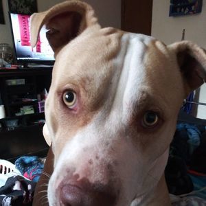 Meet your Posher, Stacey